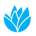 klarna casino
